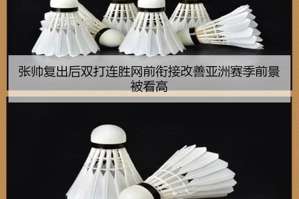 张帅复出后双打连胜网前衔接改善亚洲赛季前景被看高